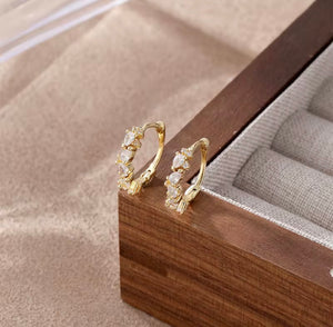 Boucles anneau certi